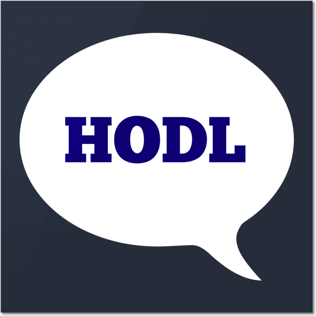 HODL Wall Art by bitclothes